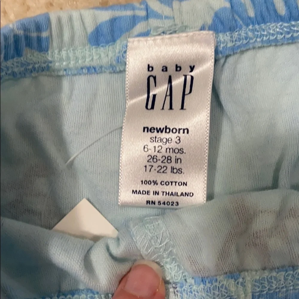 GAP blue turtle